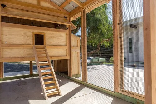 coop and enclosure cover about 12' x 5'.offering the ideal habitat for up to 10 hens. - Online Shop