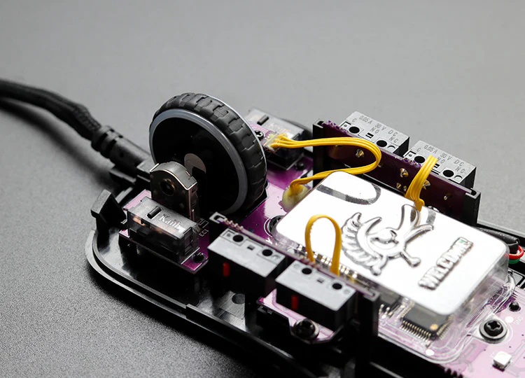 Entenfeder Schwarz & Weiß – Huano Blau