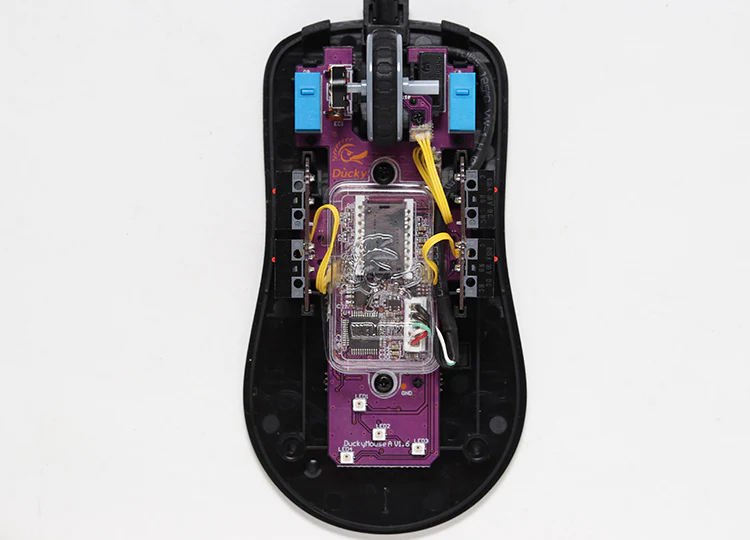 Entenfeder Schwarz & Weiß – Huano Blau