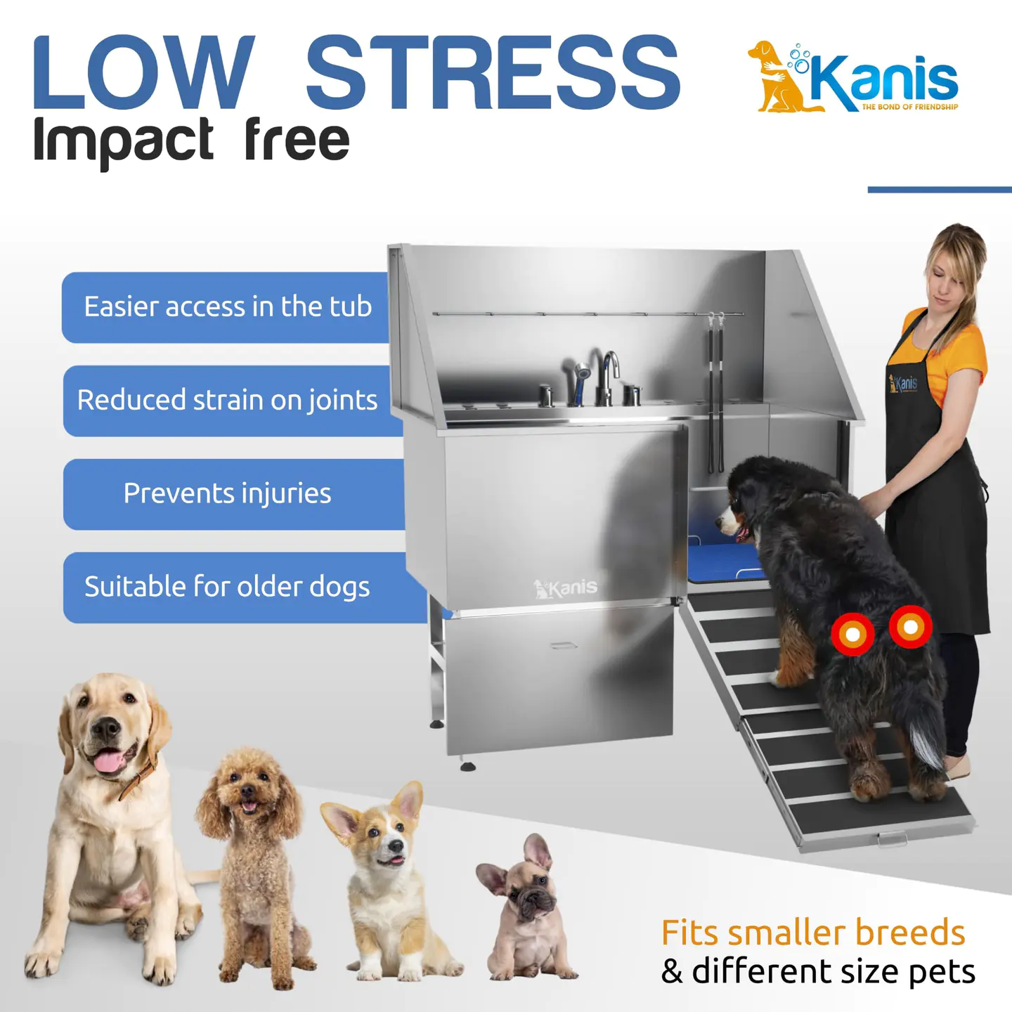 KANIS Professional Stainless Steel Dog Bathing Station (50