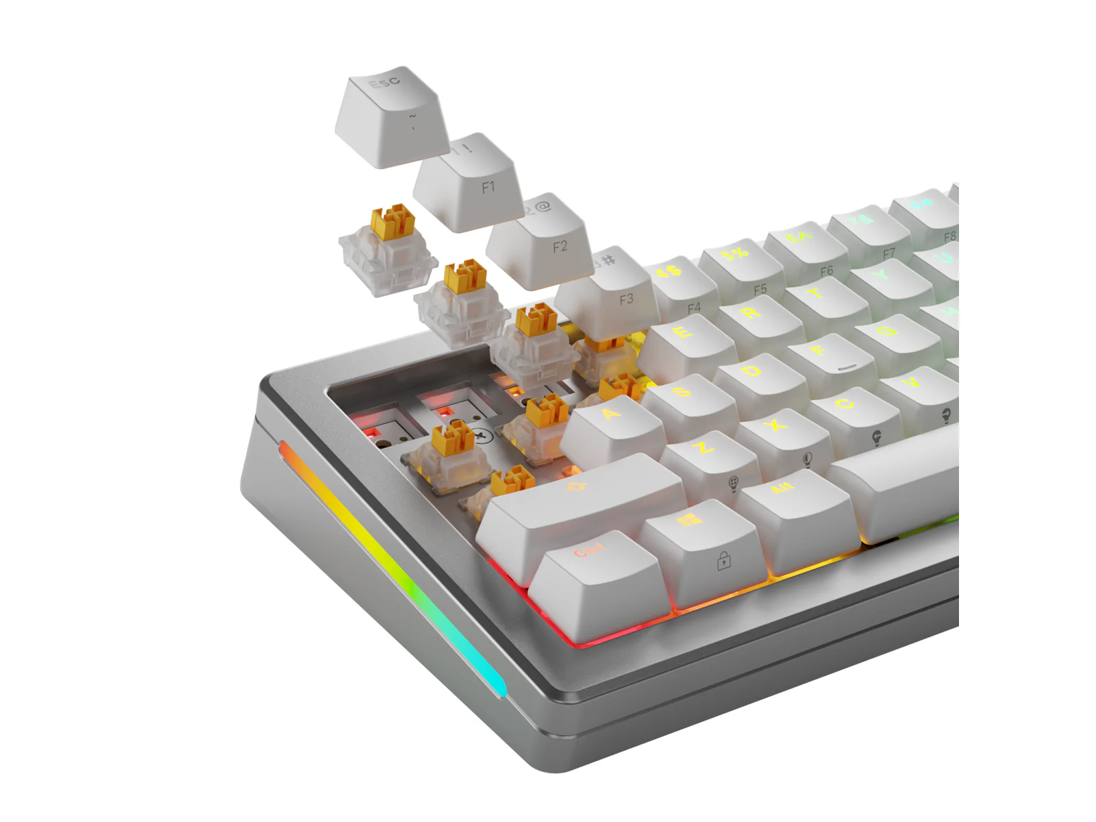 Glorious HE Switches (36pcs) - Panda